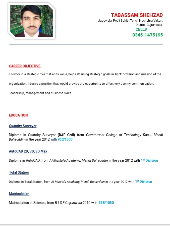 Tabassam Shehzad Profile Tabassam Shehzad Profile