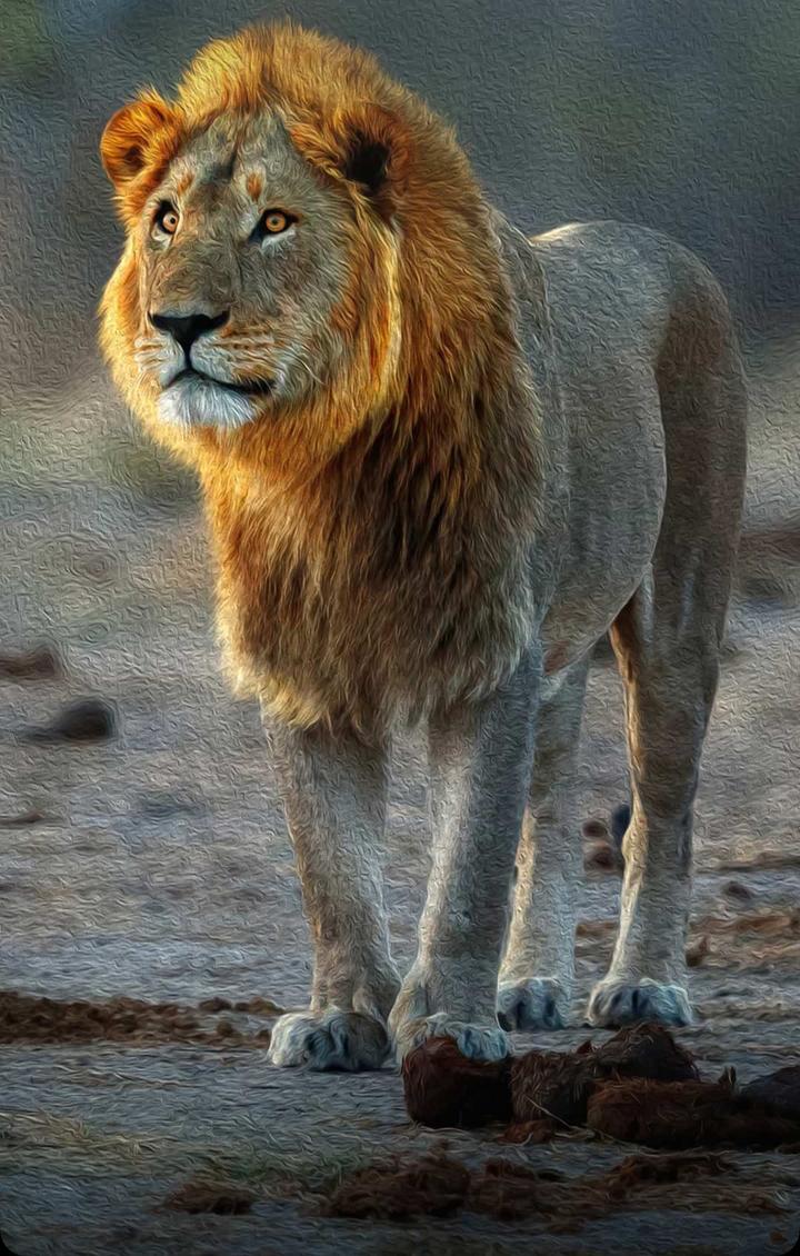 Rashid Qayyum Urdu Typing, English Typing, Cooking, Driving, MS Office, Blog Design, Format & Layout, Google SketchUp, Logo Design, Music