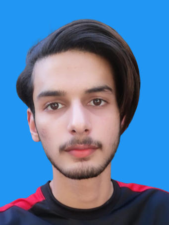 Malik Naveed Ijaz Profile Malik Naveed Ijaz Profile