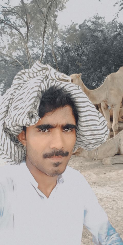 Sajid Nawaz MS Office, Import, Security