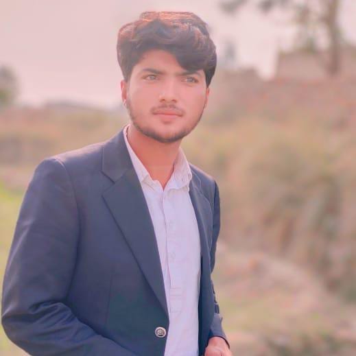 Shahzad Malik MS Office, Canva, CV Design, Banner Design, Format & Layout, Landing Pages, Word, Book Design, Book Cover Design, Amazon Kindle