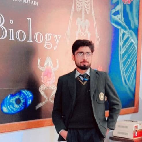 Mazhar Khan English Typing, Driving, MS Office, Business Cards, Word, CV Design, Real Estate Management, Call Center, Teaching