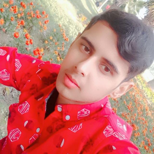 Faraz WASEEM Profile