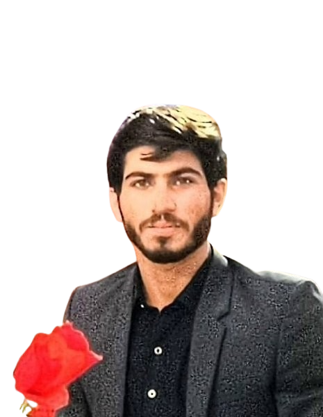 Muhammad Haris MS Office, English Typing, Illustration, Presentations, Word, VideoScribe, Project Management, Management, Risk Management, Financial Analysis