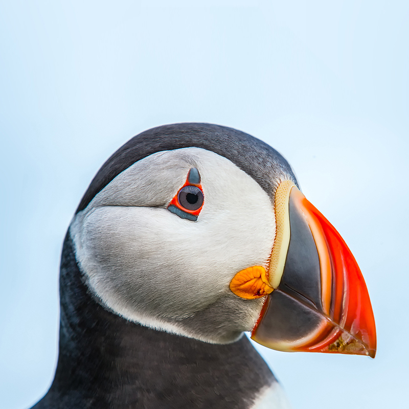 Sardar Ibrahim English Typing, Cooking, Driving, MS Office, 3D Animation, Audio Services, Building Architecture, Capture NX2, CGI, Covers & Packaging