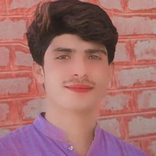 Muhammad Ibraheem Shorthand, English Typing, Print, Word, Driving, 3ds Max, Cooking, MS Office, 3D Animation, 3D Modelling