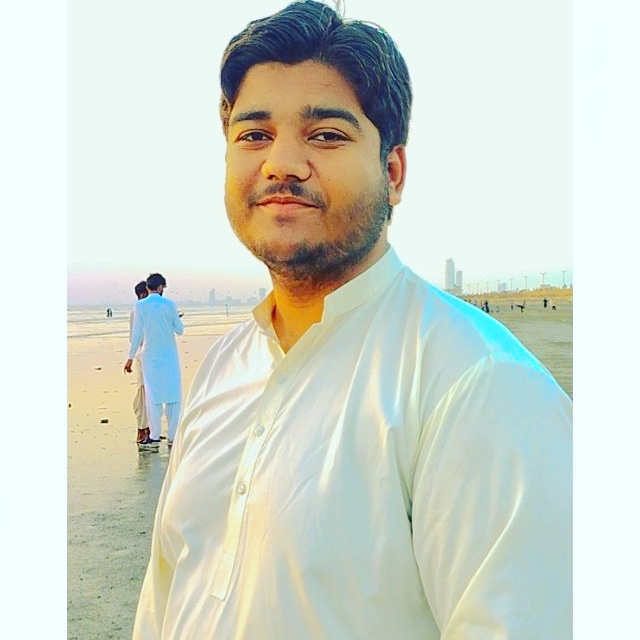 Muhammad Zaibullah Malik Data Entry, Online Writing, MS Office, Photo Editing, SEO, Field Sales