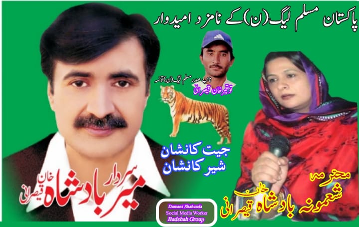 MUHAMMAD MUDASIR Profile