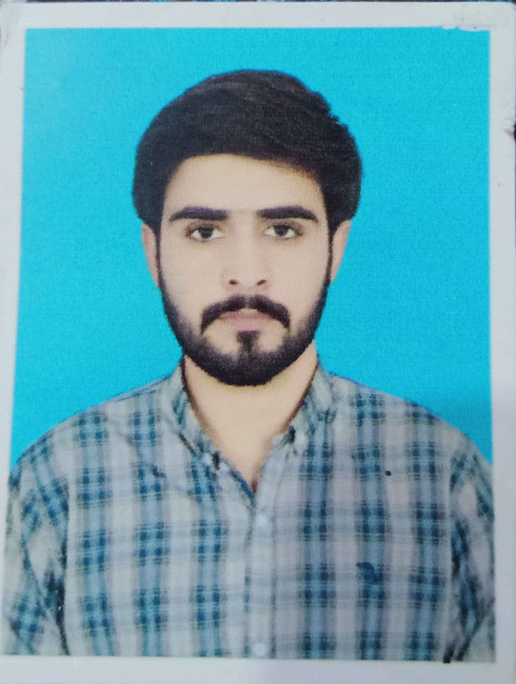 Muhammad Talha Malik MS Office, English Typing, Finance, SAP, Urdu Typing