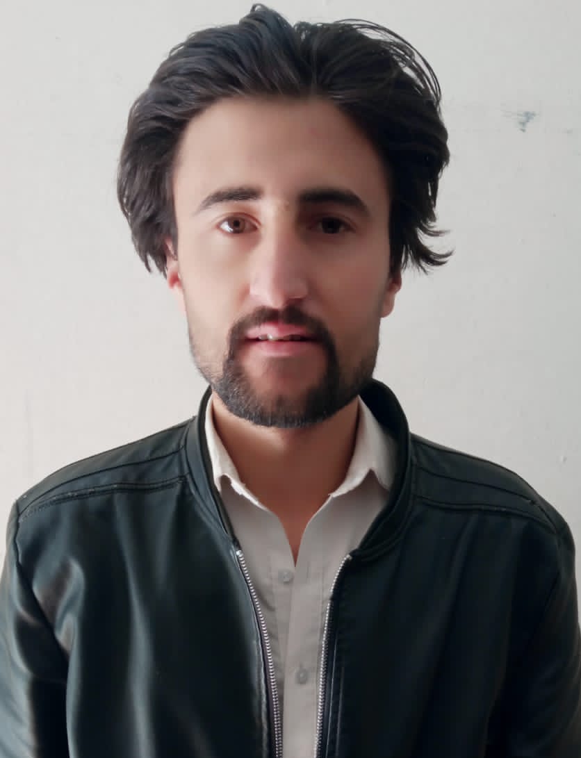 SIDDIQUE AKBAR English Typing, MS Office, Bootstrap, CSS, Video Editing, Data Science, Mathematics, Linear Programming, Data Entry, Data Processing