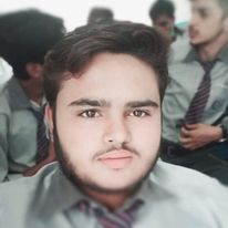 Muhammad Mohsan English Typing, MS Office, Banner Design, Brochure Design, Photoshop, Poster Design, Word