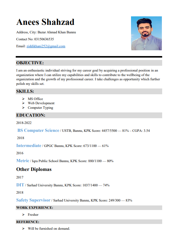 Anees Shahzad English Typing, MS Office, Photo Editing