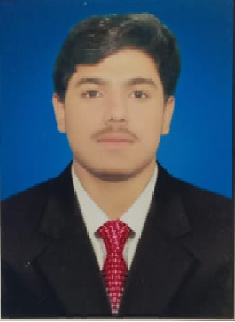 Parwaiz Rasheed Almani Shorthand, MS Office, English Typing, Landing Pages, Print, 3D Drafting, Business Plans