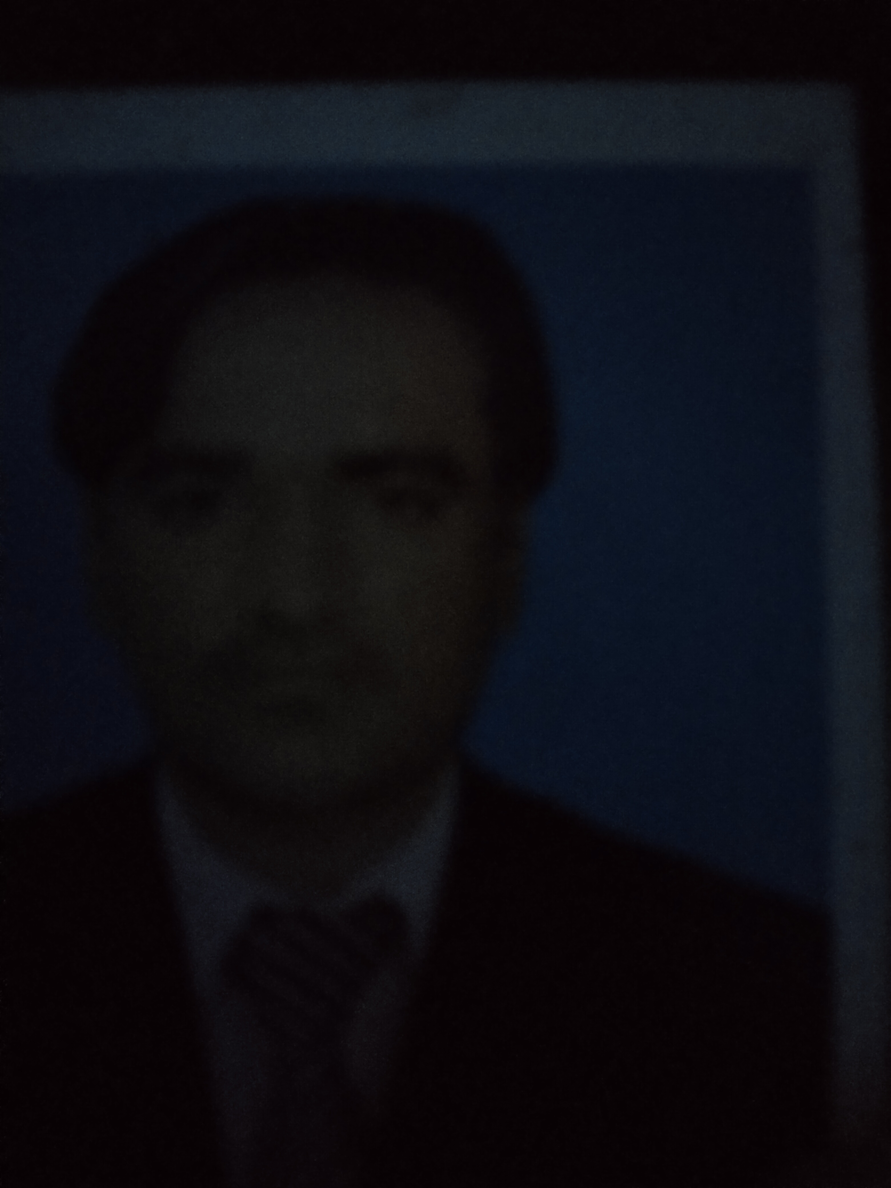 Sadiq Malik Marketing Strategy, Business Plans, Economics