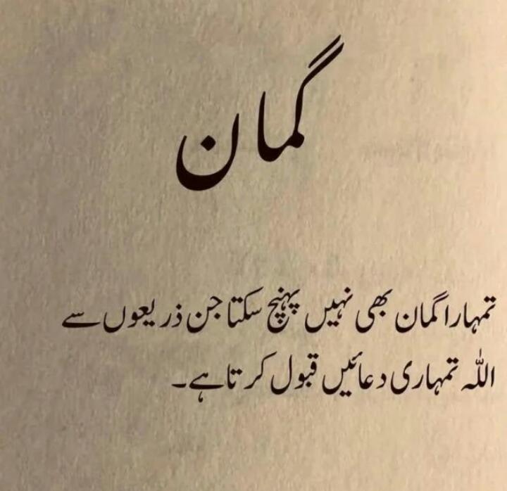 Mohsin Rasheed Profile Mohsin Rasheed Profile