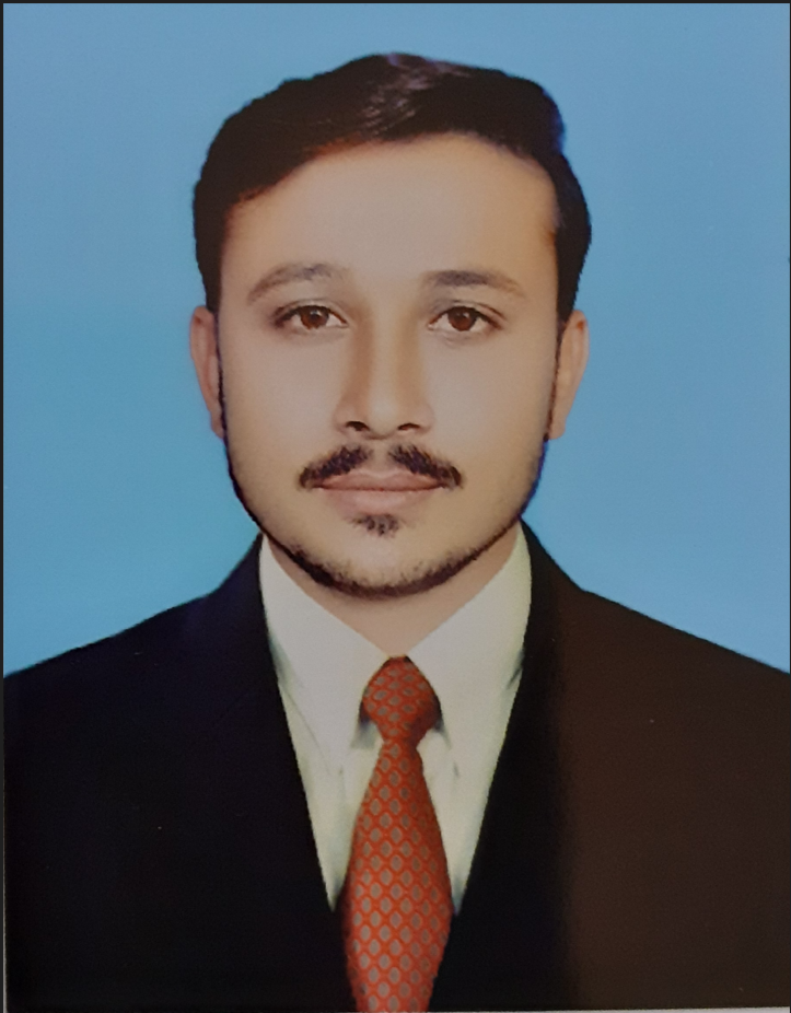 Amir Shehzad Survey Research