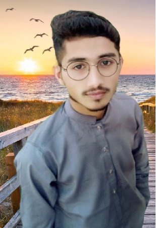 Mehmood Hassan Profile Mehmood Hassan Profile