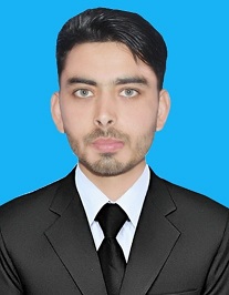 Shahbaz Khan MS Office, English Typing, Logo Design, Presentations, Prezi, CV Design, Data Entry, Research, Scientific Research, Research And Development