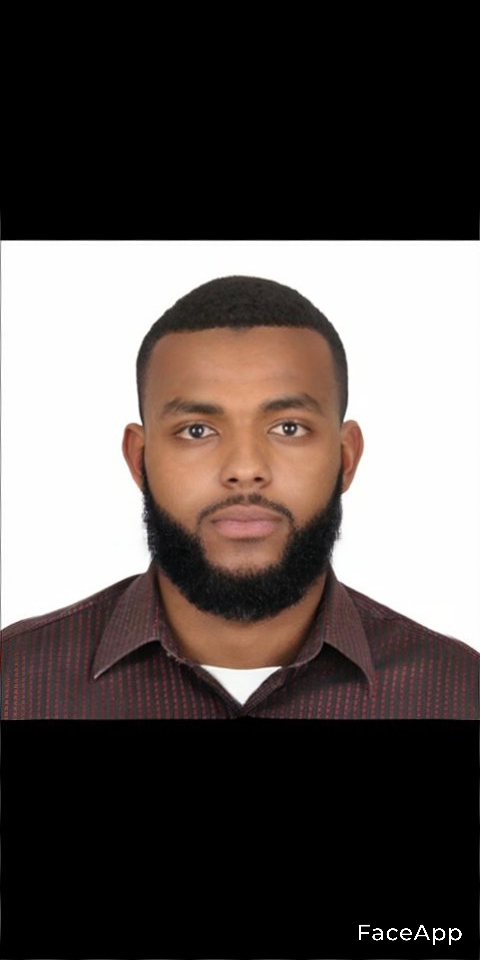 Abdallah Moussa Djebel Driving, English (US), Arabic Translator, French