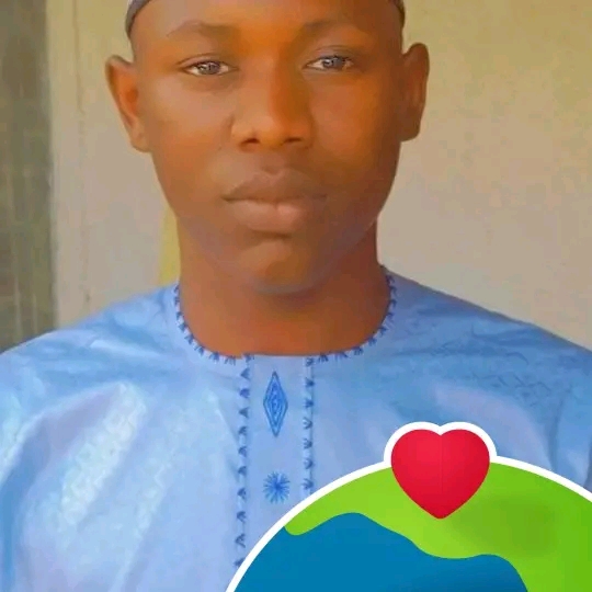 Ahmad Dauda Urdu Typing, 3D Animation, 3D Modelling, Legal Research, Risk Management, Tax