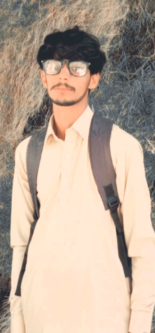 Muhammad ARSLAN Profile Muhammad ARSLAN Profile