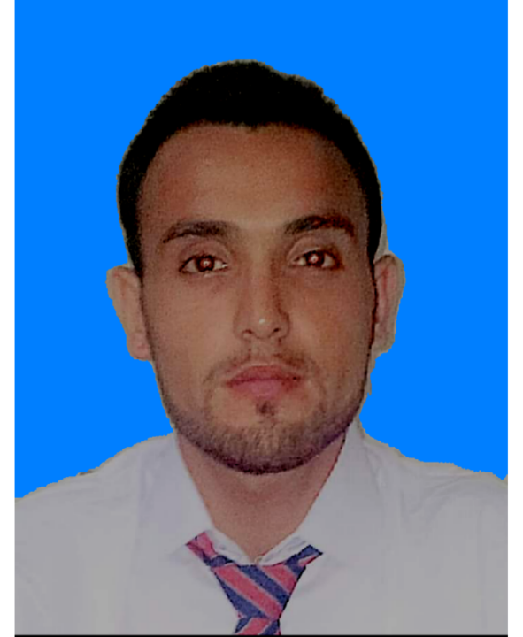 Niaz Ali Khan Urdu Typing, English Typing, Cooking, Driving, MS Office, Adobe LiveCycle Designer, Advertisement Design, Banner Design, Blog Design, Logo Design