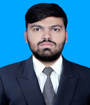 Muhammad HASHIR English Typing, MS Office, Shorthand, Digital Marketing, Facebook Ads, Google Ads, Programming, Editing, Market Research, SEO