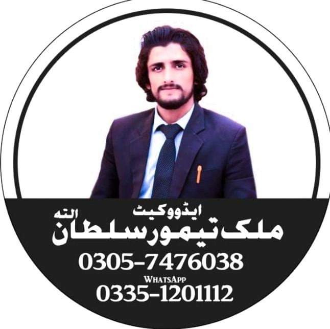 Malik Taimoor Sultan Profile Malik Taimoor Sultan Profile