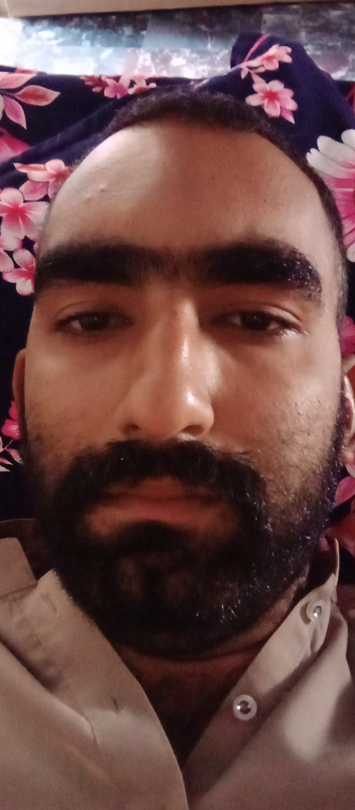 Umer Shahzad Profile Umer Shahzad Profile