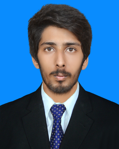 Syed Muhammad Jawad Mahdi Profile