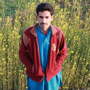 Sayyed Mubarik Ali Shah Profile