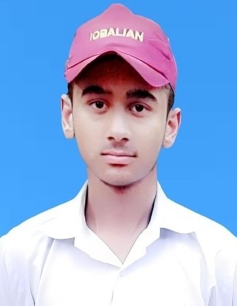 Muhammad Junaid Ali Profile