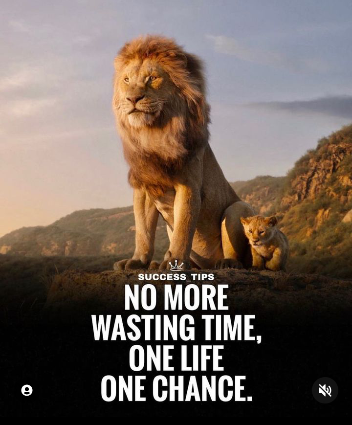 MUHAMMAD TAYYAB MS Office, English Typing, Driving, Urdu Typing