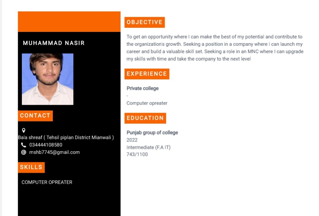 Muhammad Nasir Urdu Typing, English Typing, MS Office, After Effects, Animation, Business Cards, Graphic Design