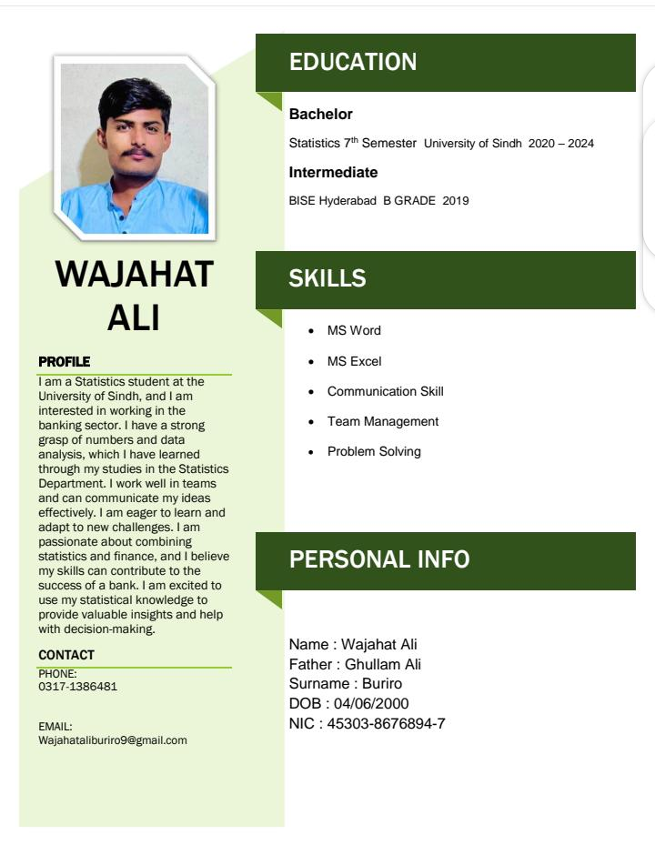 Wajahat Ali MS Office