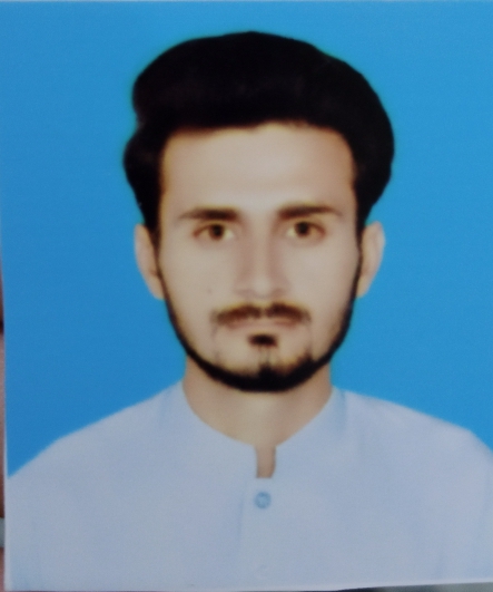 Mohsin Khan English Typing, Word, Excel, Photography, Editing, MS Office, Animation, Covers & Packaging, Presentations