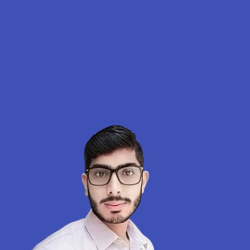 Muhammad Aleem Haider Profile