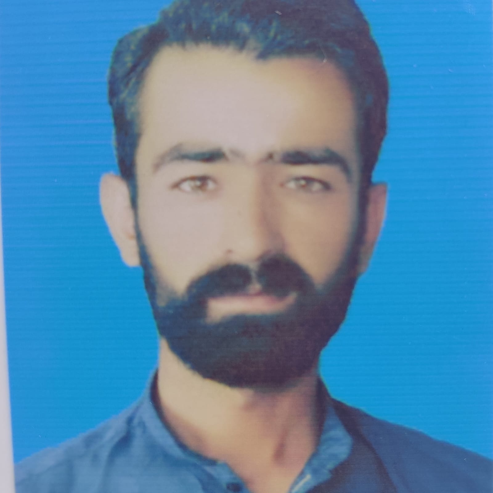 Niamat Mohsi Urdu Typing, English Typing, Cooking, Driving, MS Office, Video Editing, Video Tours, 2D Drawing, 2D Game Art, 2D Layout