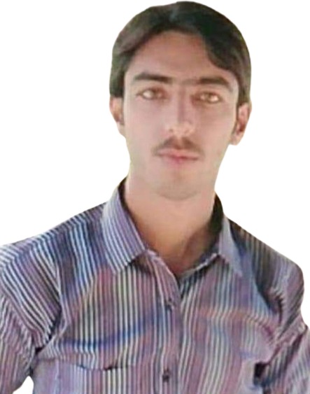 Rashid Ali Urdu Typing, English Typing, Driving, MS Office, Word, Health Planning
