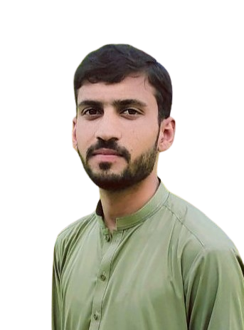 Muhammad Waleed Profile
