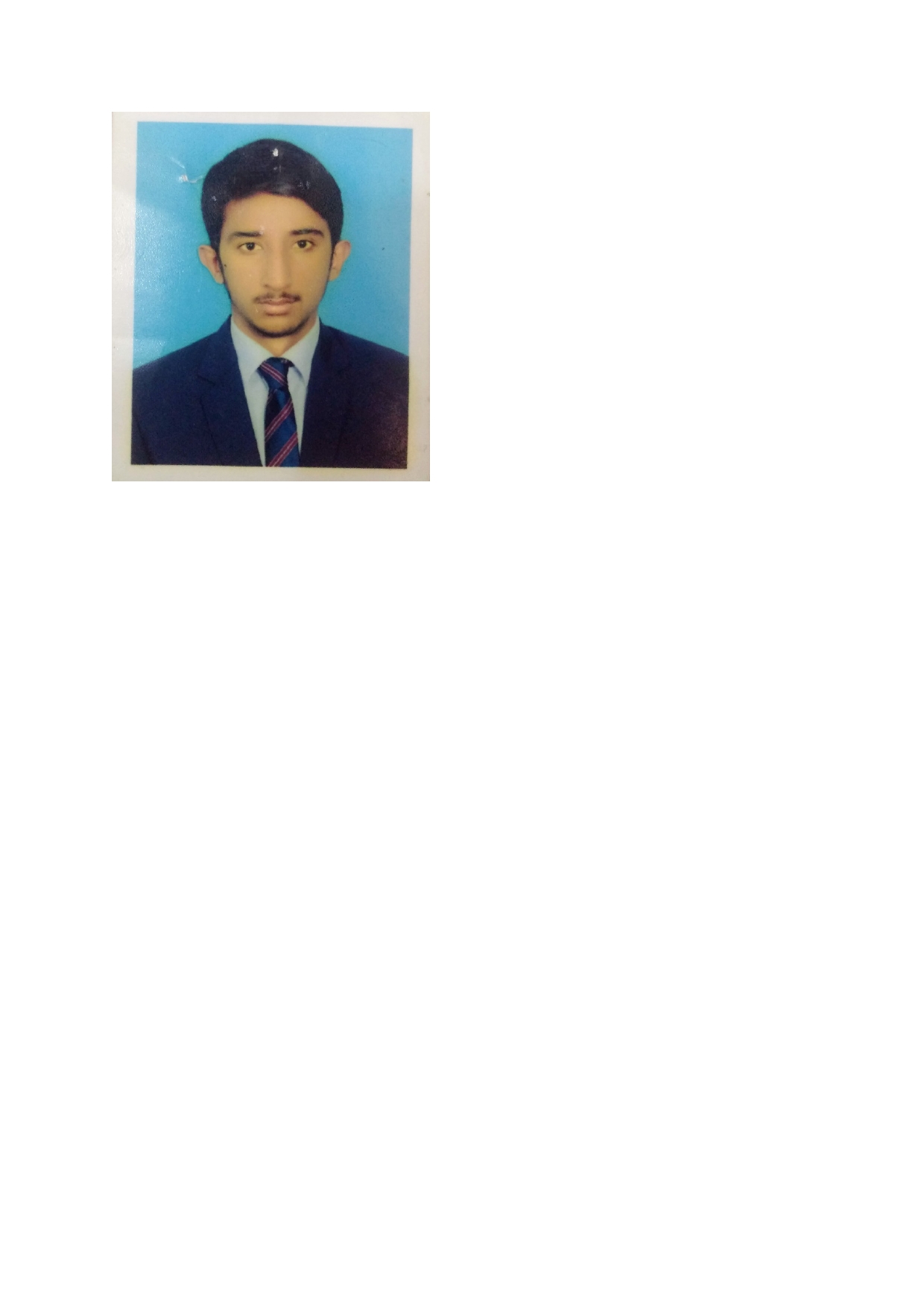 Shahzad Rafique English Typing, MS Office, Payroll, Account Management, Appointment Setting, Workday Payroll, Data Entry, Excel, Order Processing, Delivery