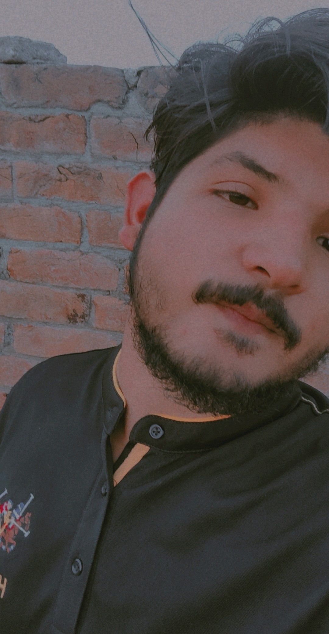 Rana Zain Urdu Typing, English Typing, Market Sizing, Security, Courier, Delivery, Flower Delivery, Import, Packing & Shipping, Shipping