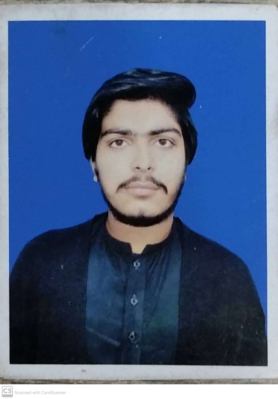 Hussain Mehdi MS Office, Accounting, Inventory Management, Hyperledger