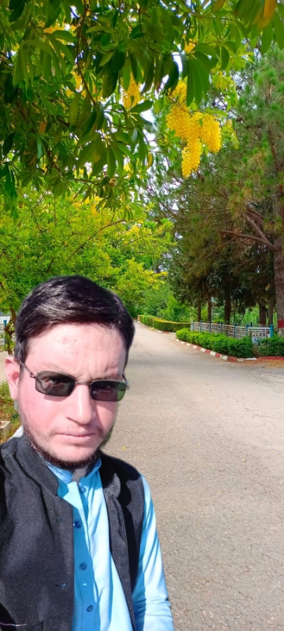 Mahmood Rehman English Typing, MS Office, Advertisement Design, Presentations, Print, Teaching, Urdu Typing