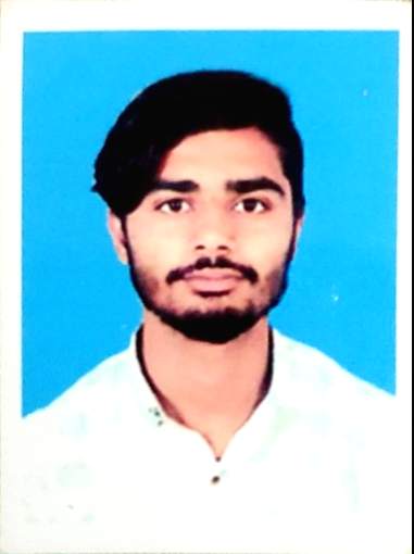 Zaib Ali Profile