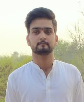 Mohsin Ali Urdu Typing, English Typing, Photo Editing, Video Editing, Sports