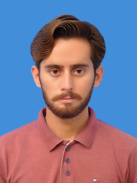 Zulfiqar Narejo MS Office, English Typing, 3D Modelling