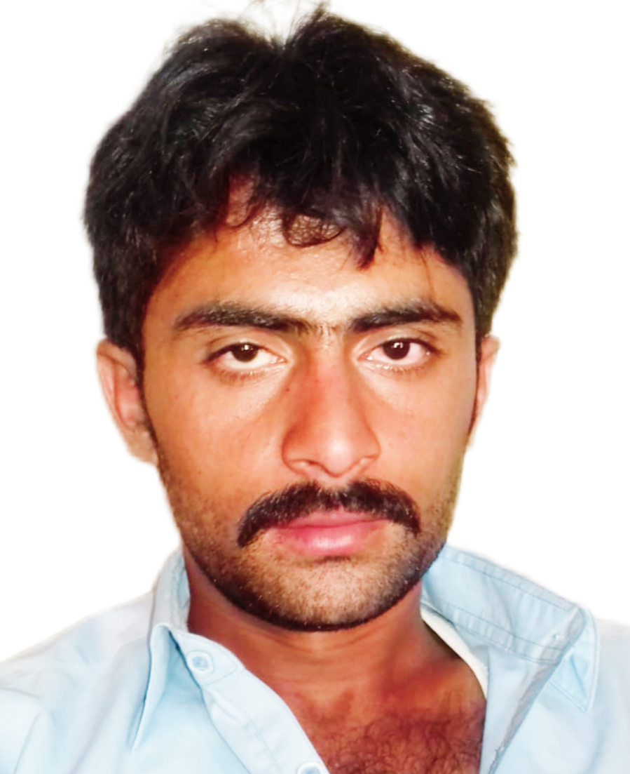 Sajan Zulfiquar Shorthand, Urdu Typing, English Typing, Driving, MS Office, Cooking, Audio Services