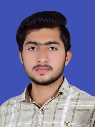 Ourangzaib Zaib English Typing, Programming, Driving, MS Office, Computer Science, Communications, English (US), Teaching, English Teaching, Computer Science Tutoring