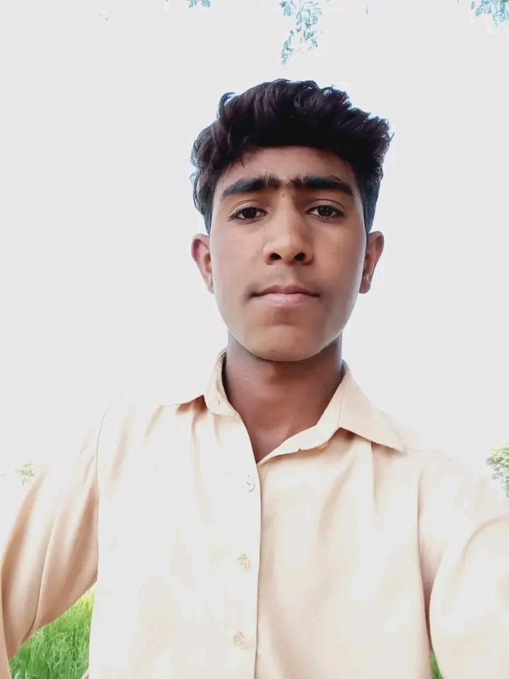 Muhammad Bilal English Typing, MS Office, Flyer Design, 3D Logo, Book Cover Design, Account Management, Data Entry, Technology